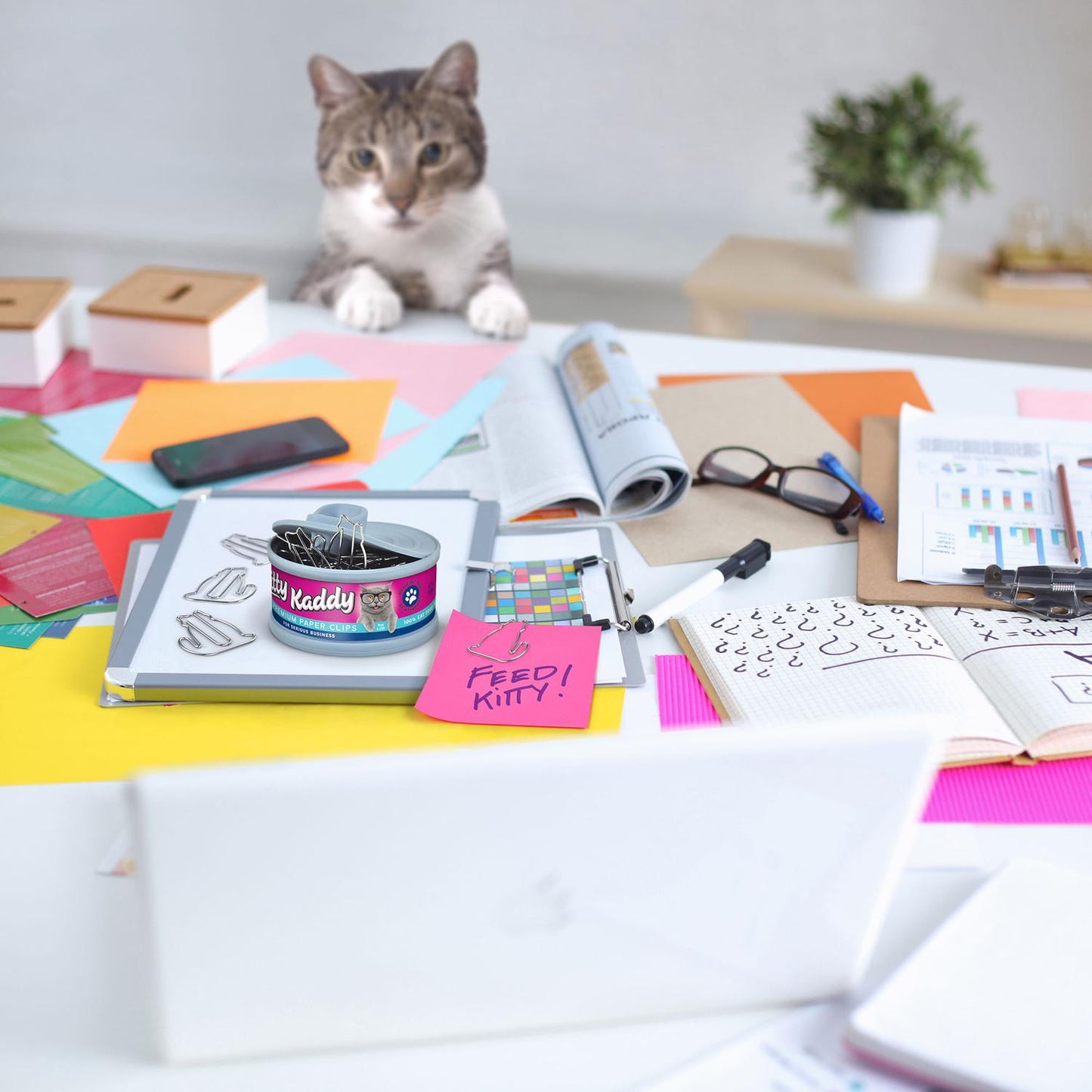 Clips para Papel Kitty Kaddy 20pzas