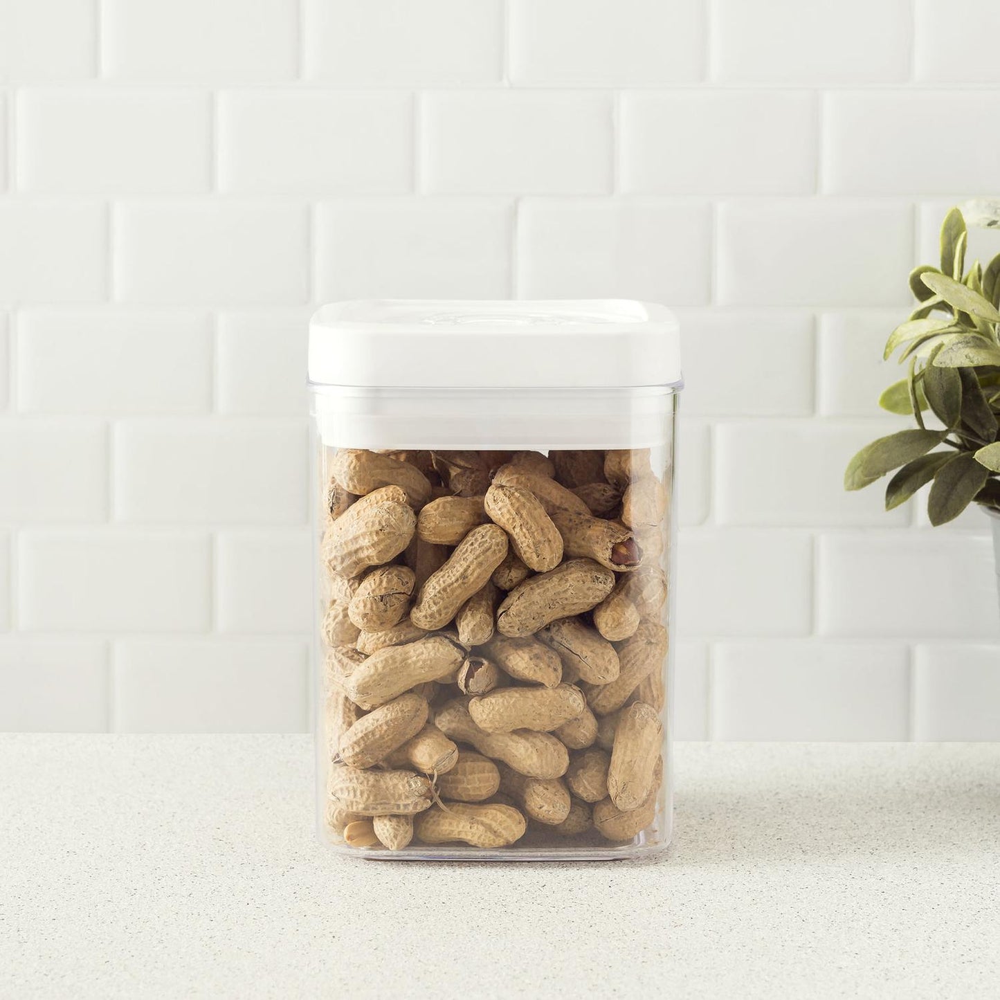 Recipiente Hermético Cap. 1.7L