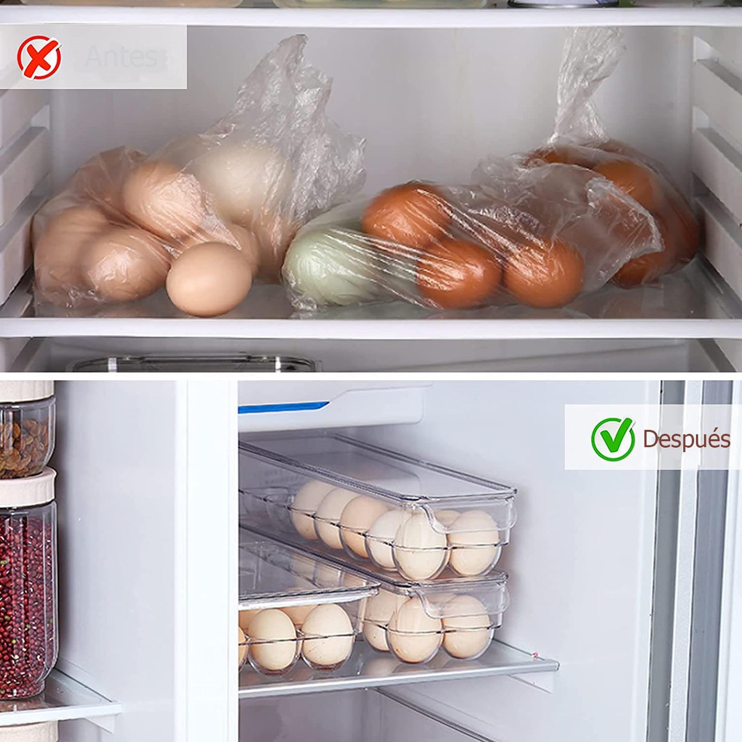 Organizador para 14 Huevos transparente