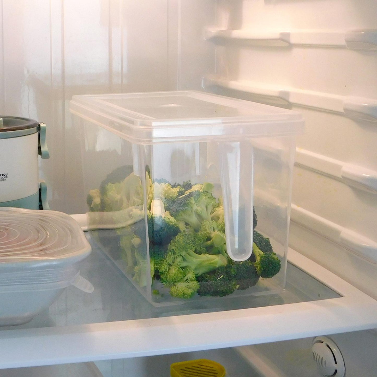 Caja de Plástico con Tapa