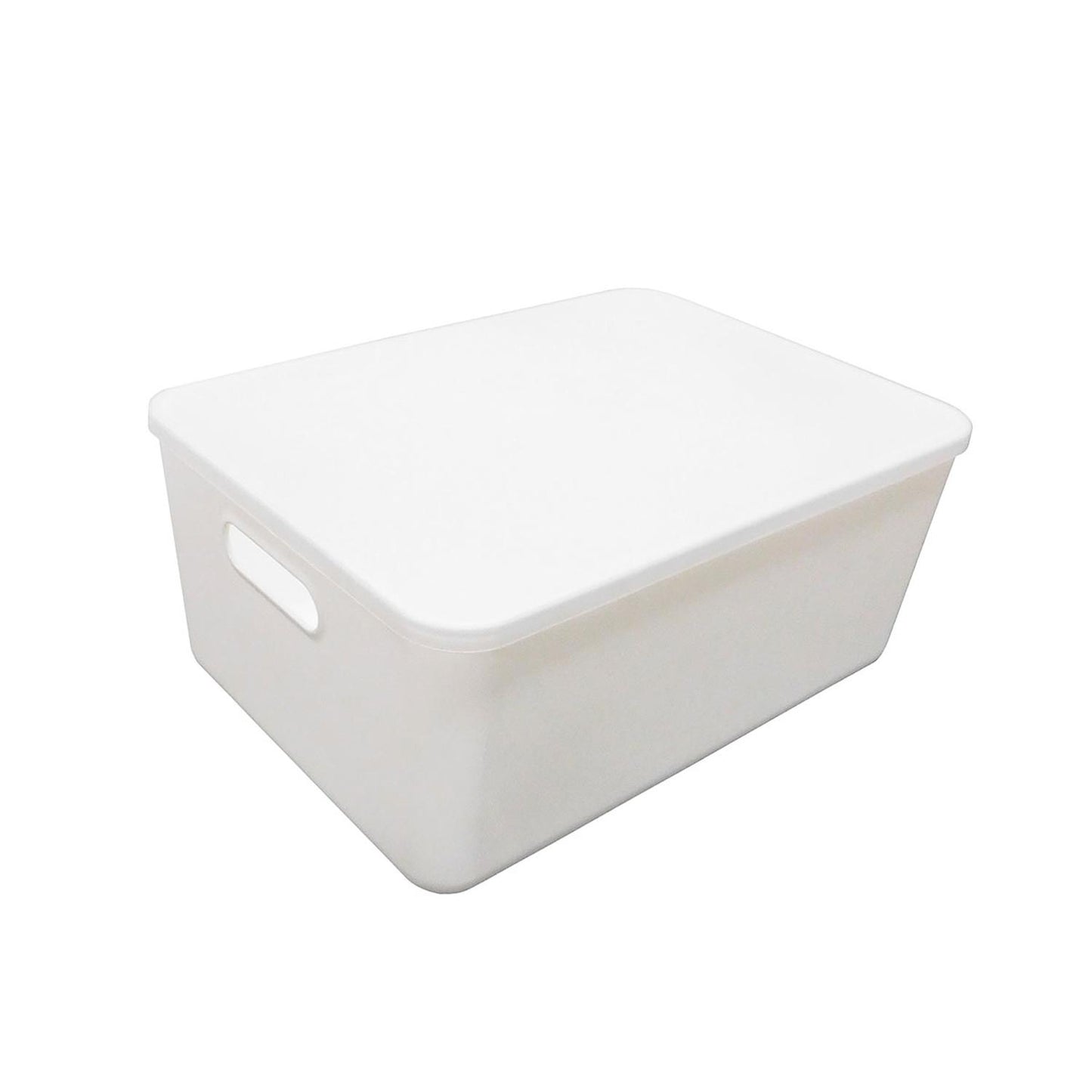 Caja mediana con agarraderas y tapa transparente