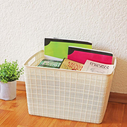 Caja de plástico con asas laterales 30 x 26 x 22 cm